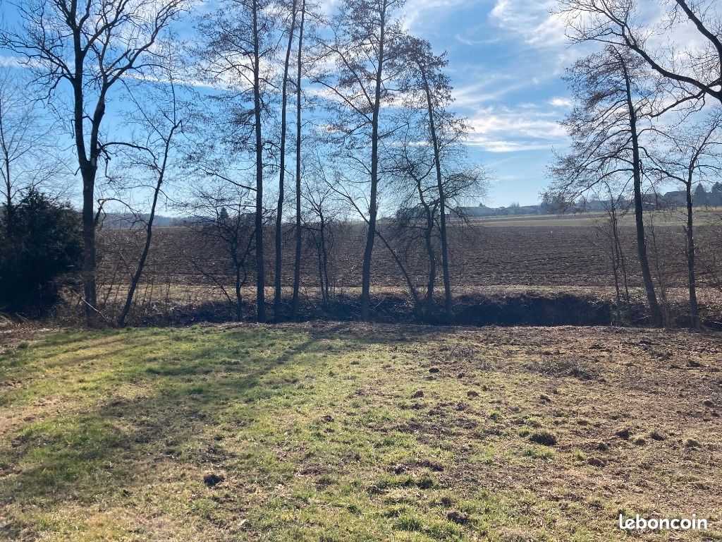 Terrain 460 m² Muespach Le Haut · à Muespach-le-Haut · 125 000 €