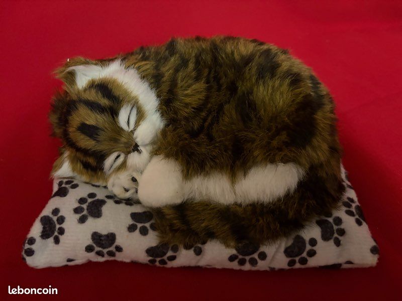Chats (image 15)