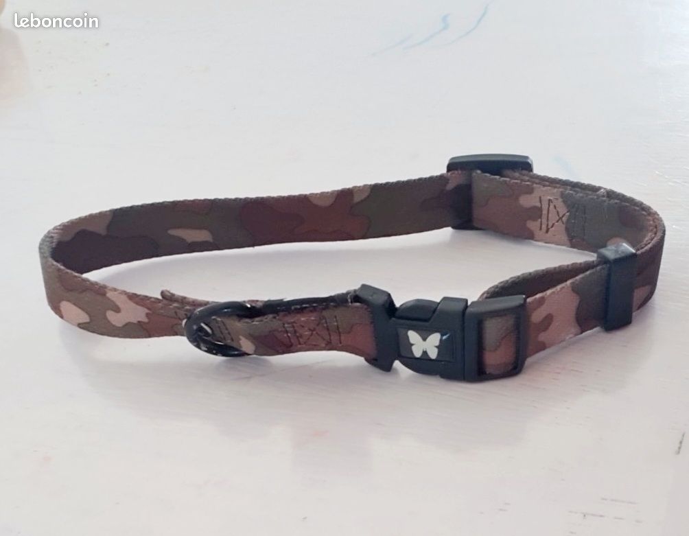 Collier chien (image 3)