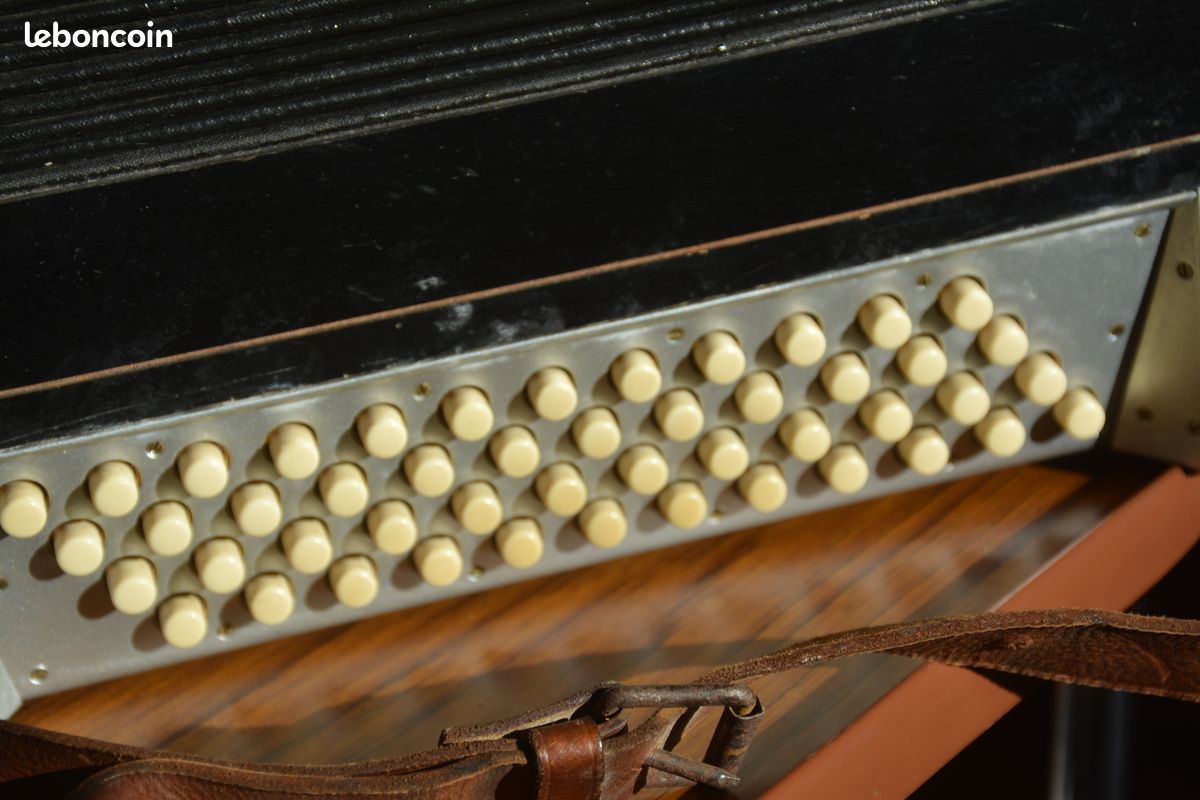 Accordeon chromatique (image 17)