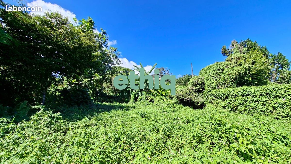 Terrain 1600 m² · à Capesterre-Belle-Eau · 1 600 m² · 150 000 €