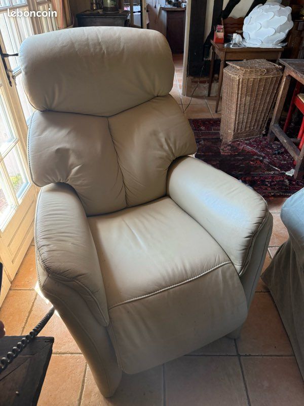 Fauteuil releveur personne âgée (image 7)