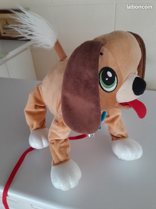 Toufous chien marron (image 1)