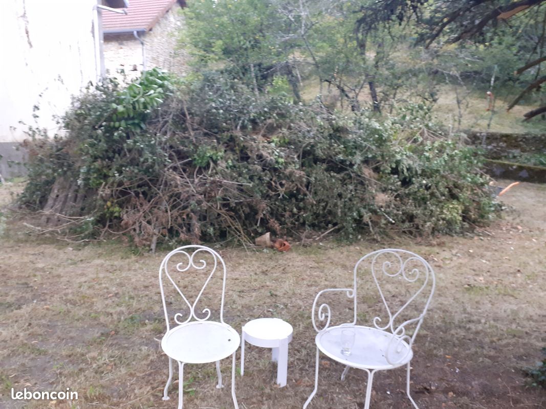 Chaise ferforge blanche ancienne (image 1)