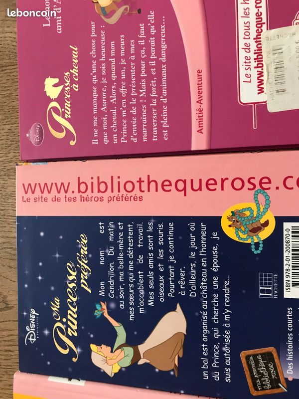 Lot de livres pour filles de princesse (image 4)