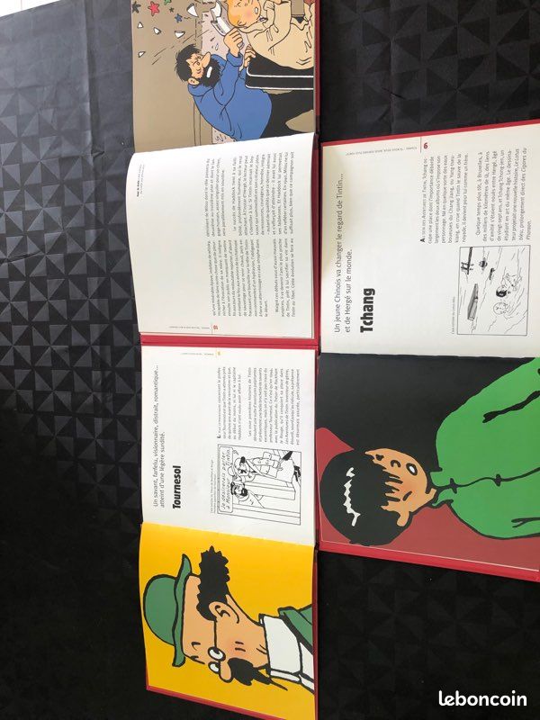 Lot livre tintin (image 2)