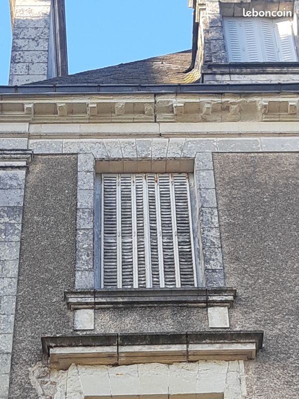 Persiennes du XIXeme en très bon état Bois en chêne et cadre en acier (image 2)