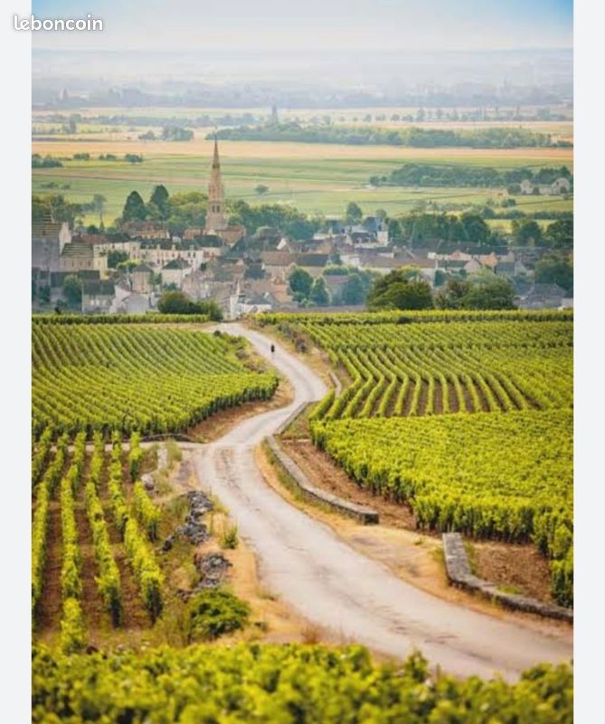 Terrain viticole MEURSAULT · à Auxey-Duresses · 250 €