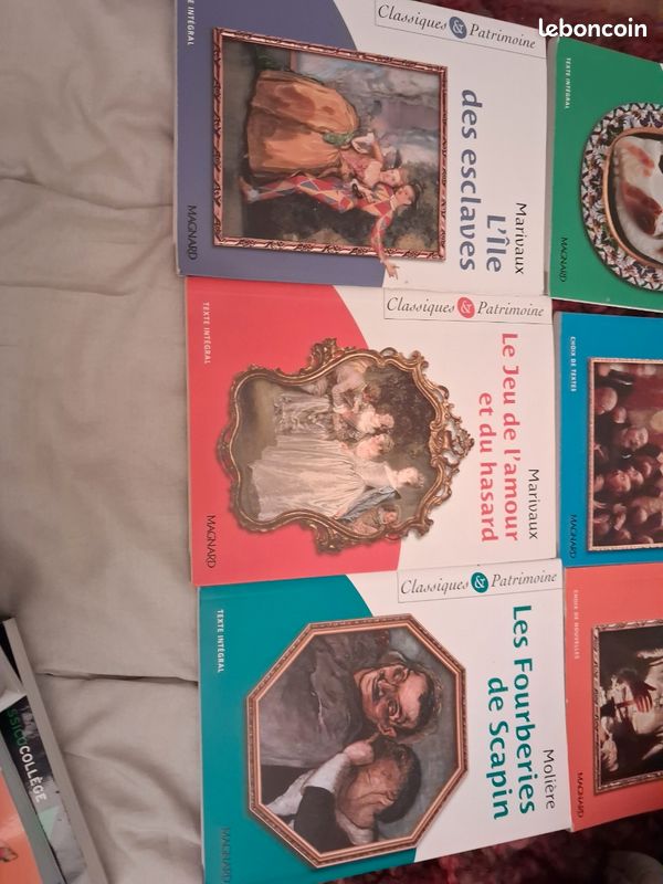 Livre classique et pattimoine (image 3)