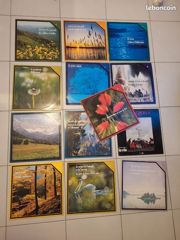 Vinyles 33 tours (image 1)
