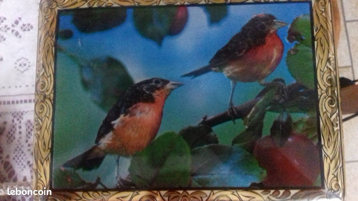 Boîte en fer décorée oiseaux ancienne (image 2)