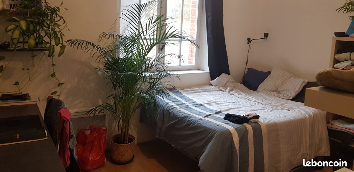 Appartement 1 pièce 21 m² · à Toulouse · 21 m² · 450 €/mois
