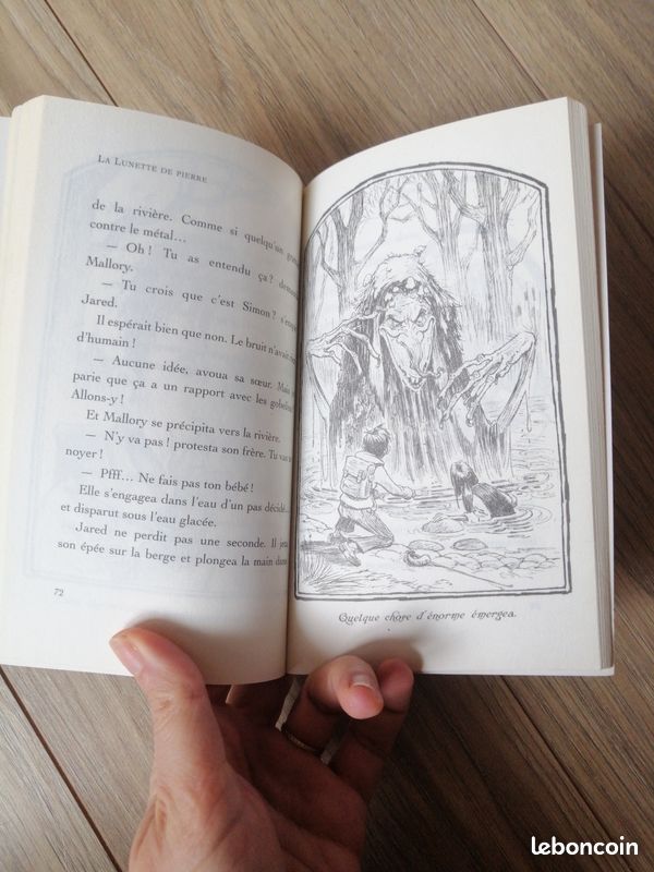 Livre spiderwick (image 5)