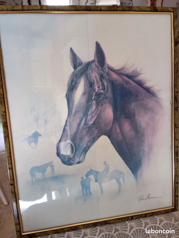 Cadre cheval (image 1)