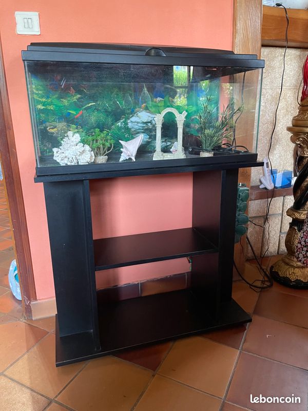Aquarium (image 3)