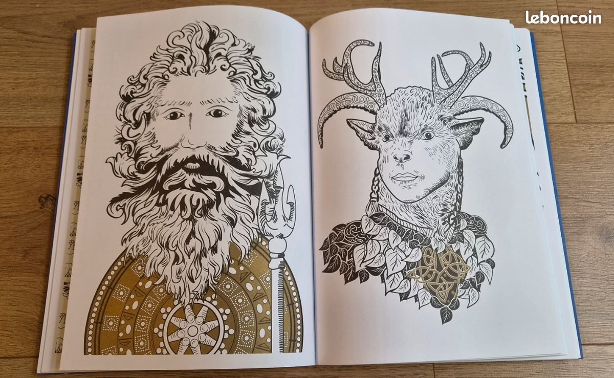 100 coloriages Mythologie (image 4)