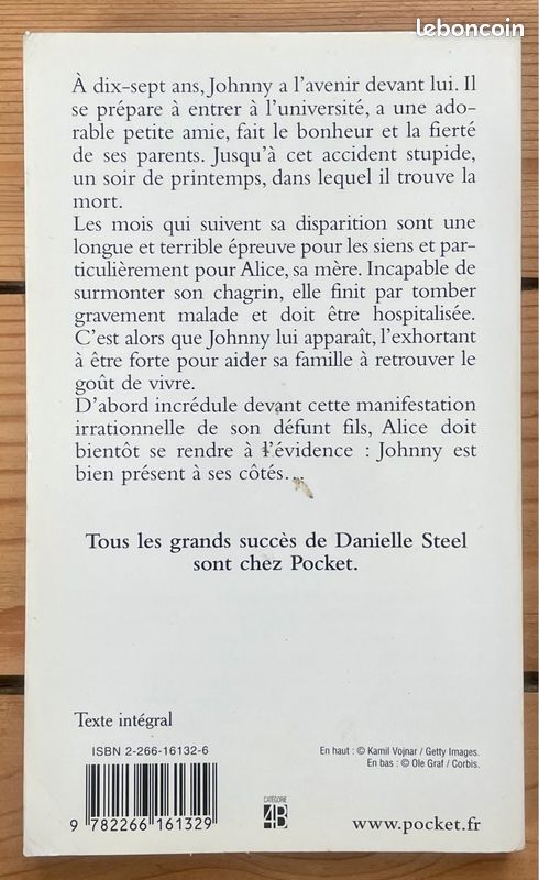 Danielle Steel - L’ange gardien (format poche) (image 2)