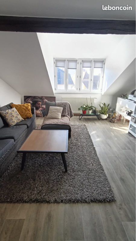 Appartement 2 pièces 55 m² · à Bischwiller · 55 m² · 600 €/mois