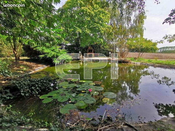 Pavillon 8 pièces 217 m²