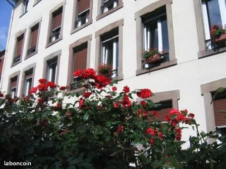 Appartement 3 pièces 50 m² · à Strasbourg · 50 m² · 710 €/mois