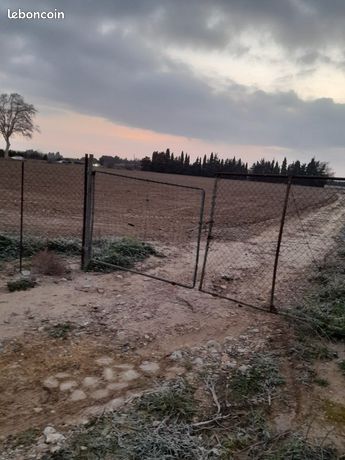 Terrain agricole