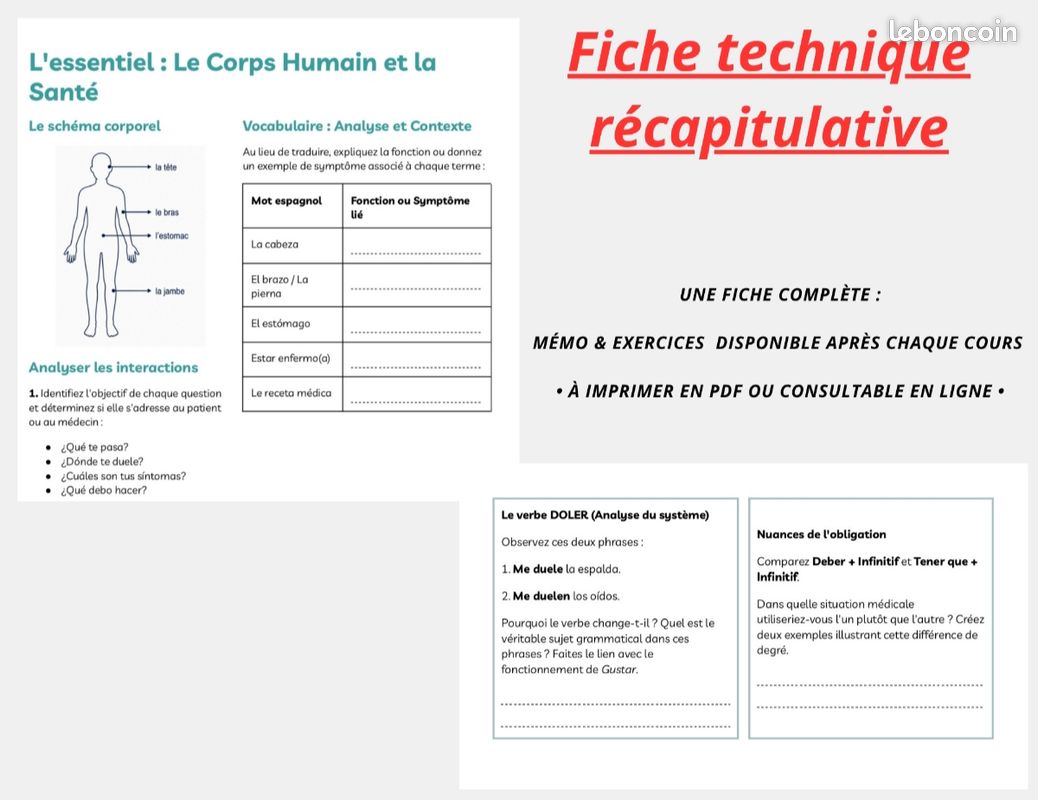 📚 Soutien Espagnol Collège : Méthode & Résultats (10 ans d'expérience) (image 3)