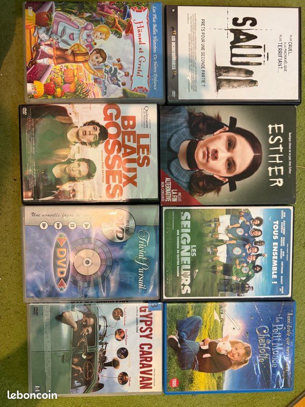Lot de 24 DVD films, séries et dessins animés - Harry Potter, Titanic, Esther, Garfield… (image 1)