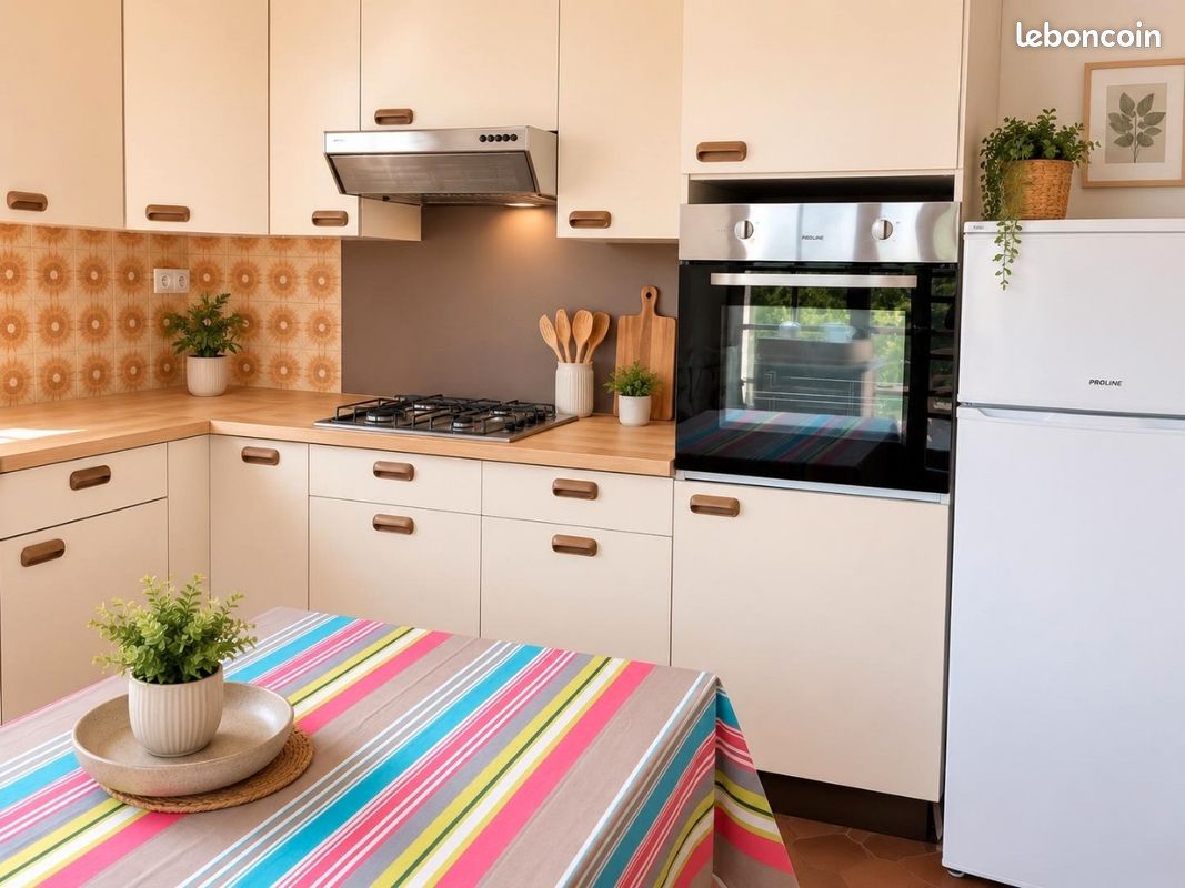 Location Grand Appartement Vignoble Béziers (image 6)