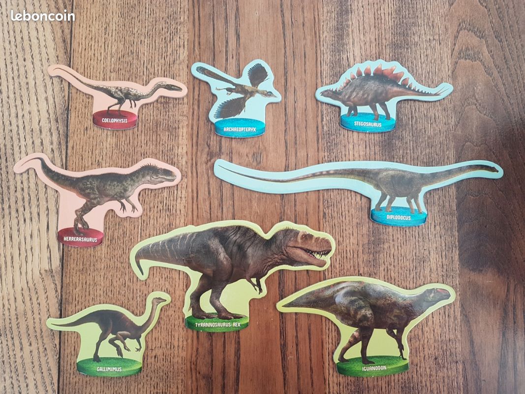 Jeu Dinosaures aux rayons X (image 4)