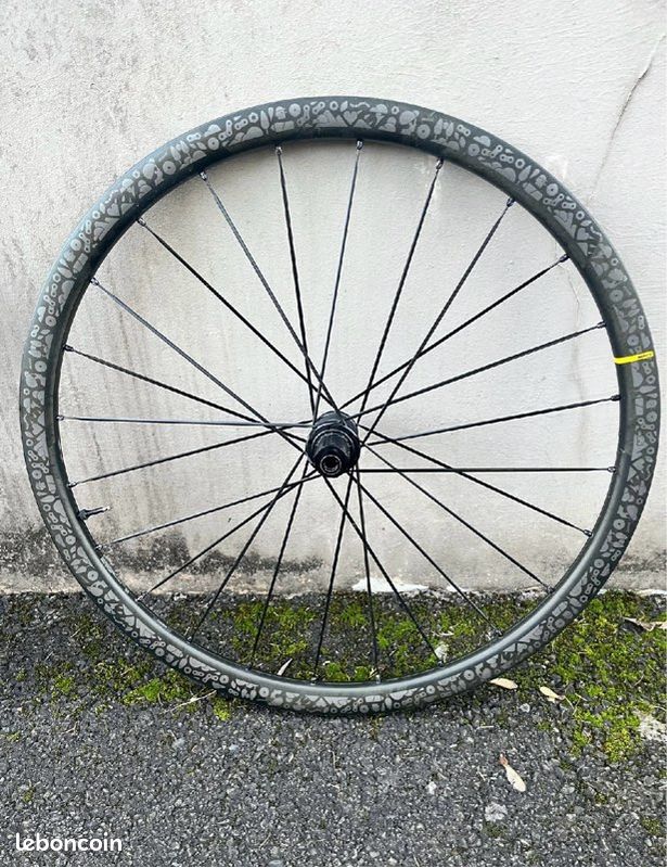 12 Rayons Mavic Cosmos Ronds Droits – 290 Mm, Argent, Pour Roue (emballage D'origine)
