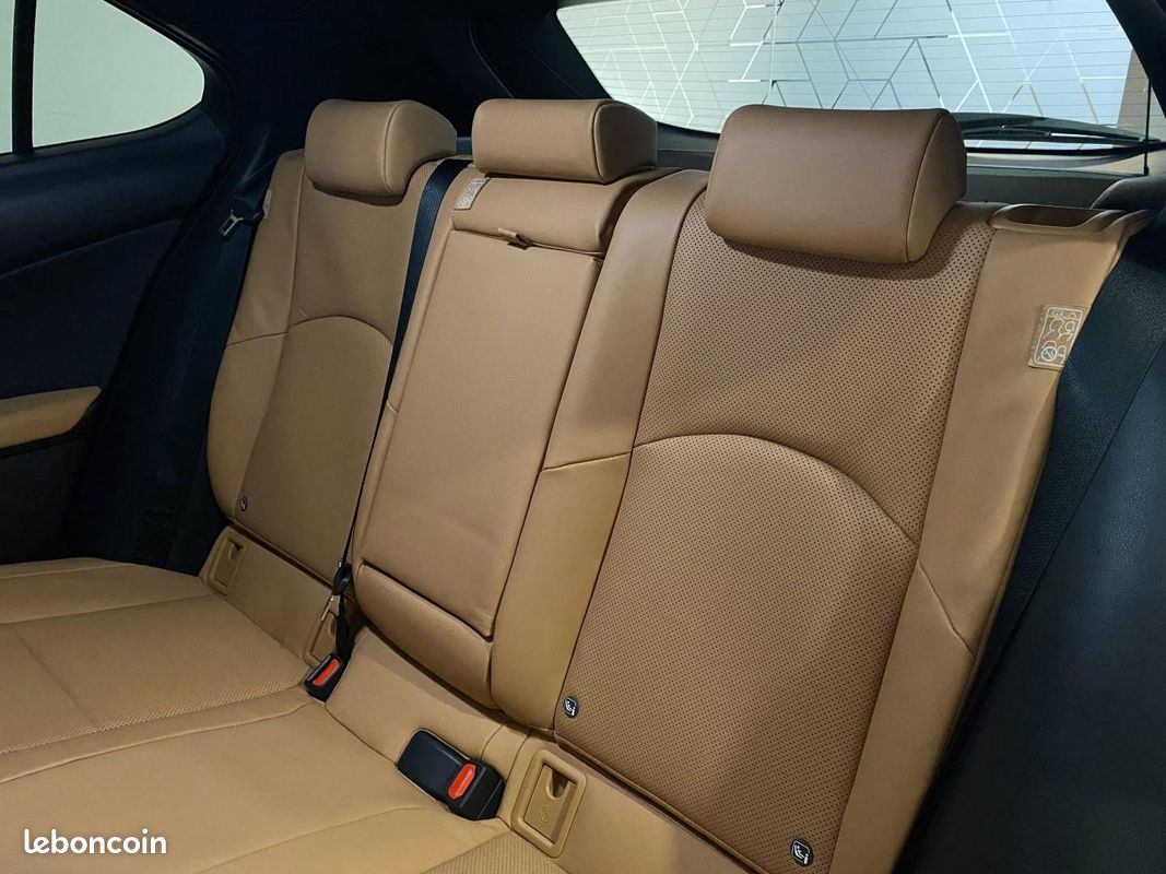 Lexus UX 250h Luxe 2WD (image 4)