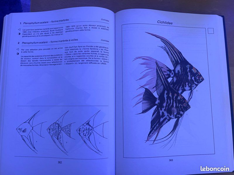 La Grande Encyclopédie des poissons d’aquarium (image 3)
