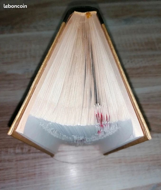 Livre découpé aigle (image 3)