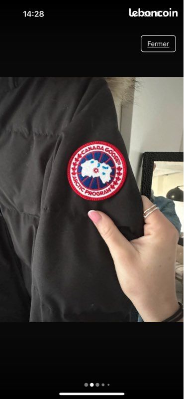 Canada goose (image 2)