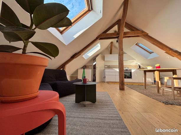 Loft en centre-ville tout équipé et meublé