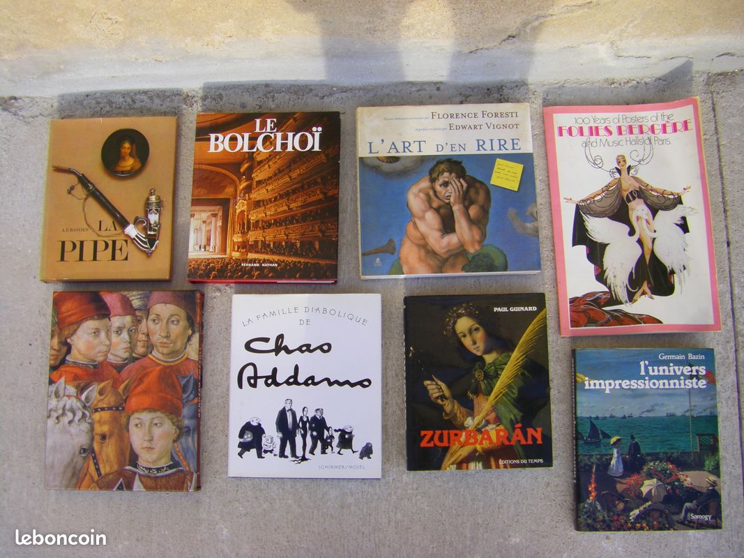 Collection de livres sur l'art, géographie ..en lot ou à la pièce (image 1)