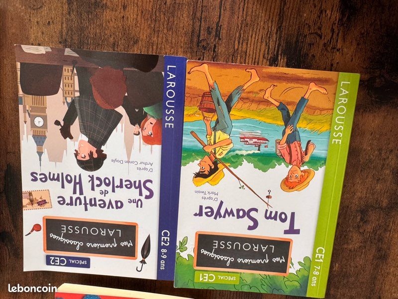 Lot livres enfant 6 à 9 ans (image 8)