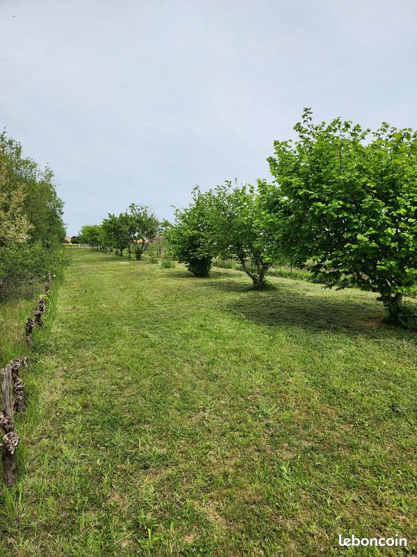 Verger - terrain agricole · à Orée d'Anjou · 12 500 €