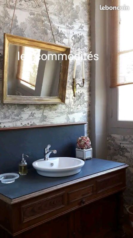 Château 16 couchages adultes + 4 enfants (image 8)