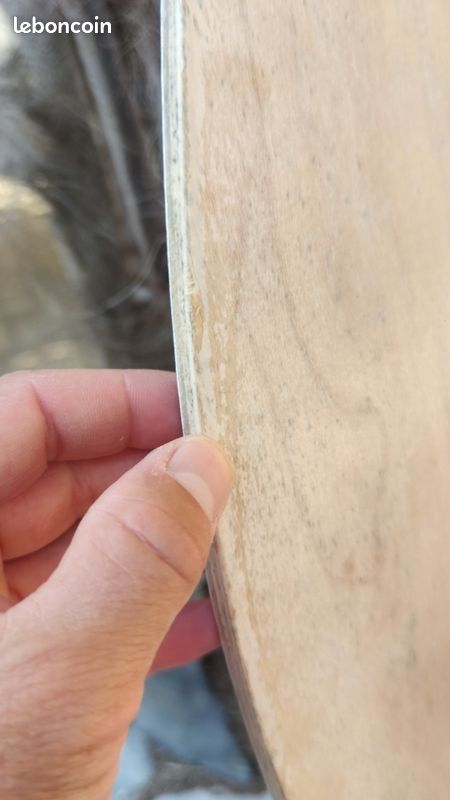 Skimboard Aroona (image 4)