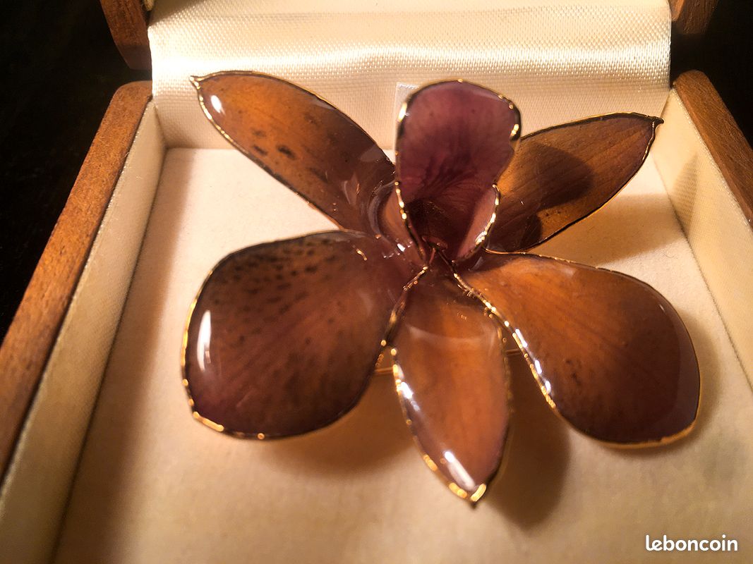Broche Plaquée Or 24 Carats - Bijou Neuf Avec étiquettes, Sans Marque