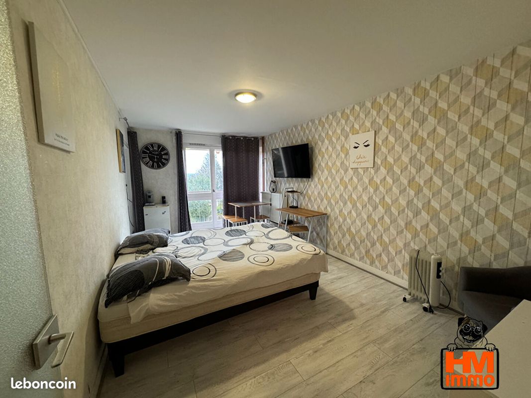 Appartement 1 pièce 30 m² - Limoges 87000 (image principale 2)