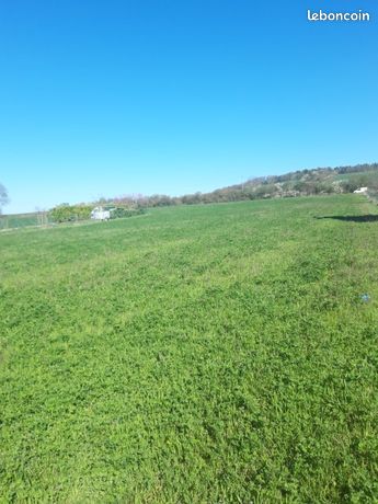 Terrain 700 m² Hermes