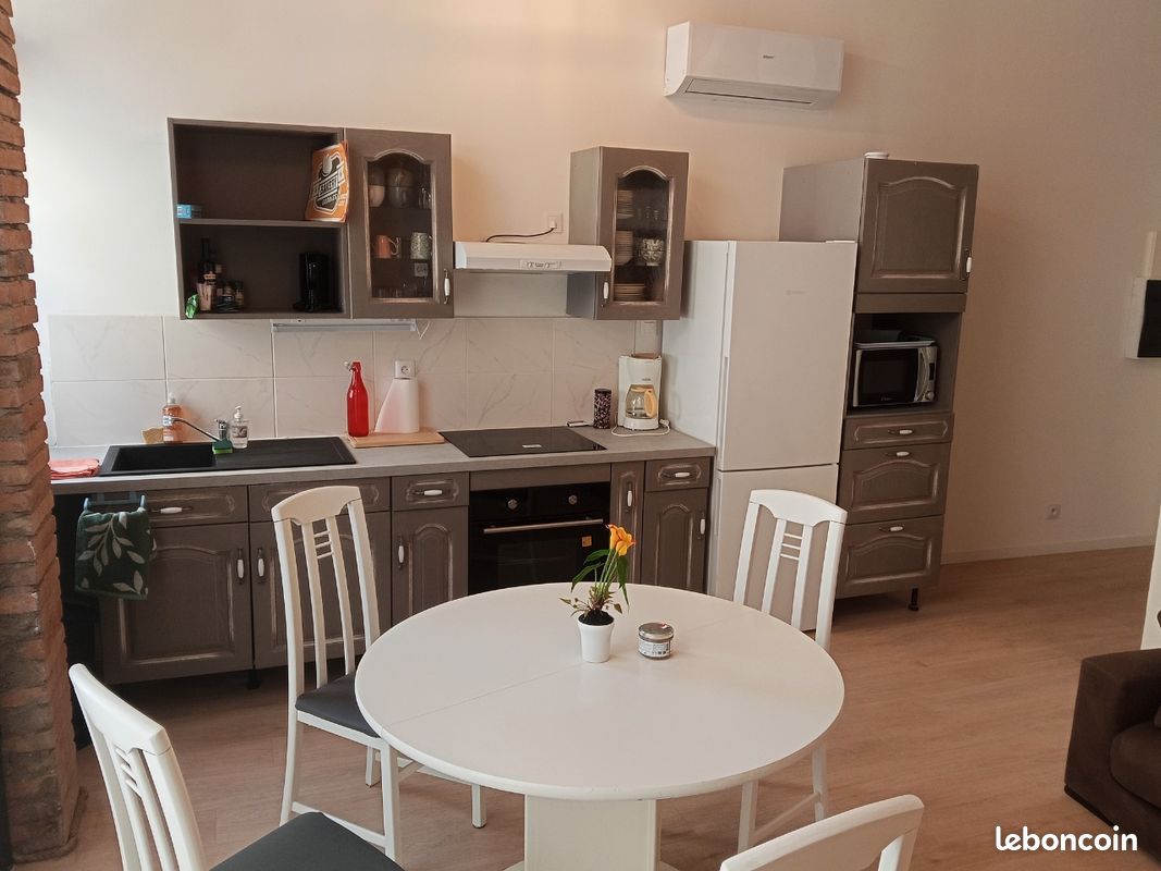 Appartement style Loft climatisé, 4 à 6 p. Tarn,Albi,Gaillac,Cordes (image 3)