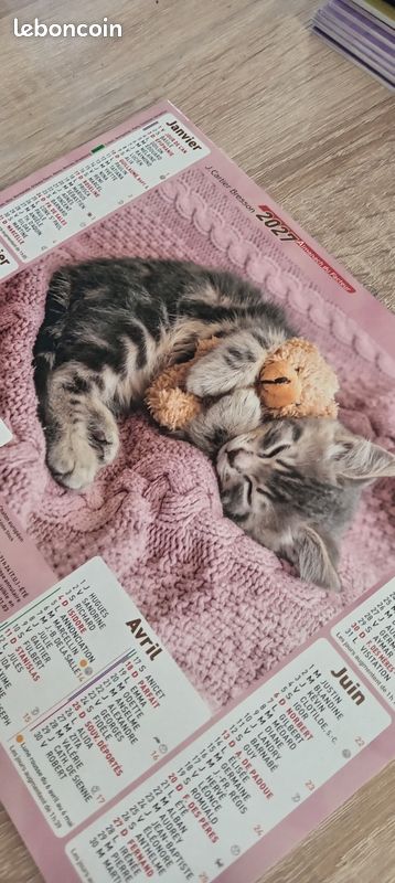 Calendrier la poste 2027 - chats et chiens dorment (image 4)