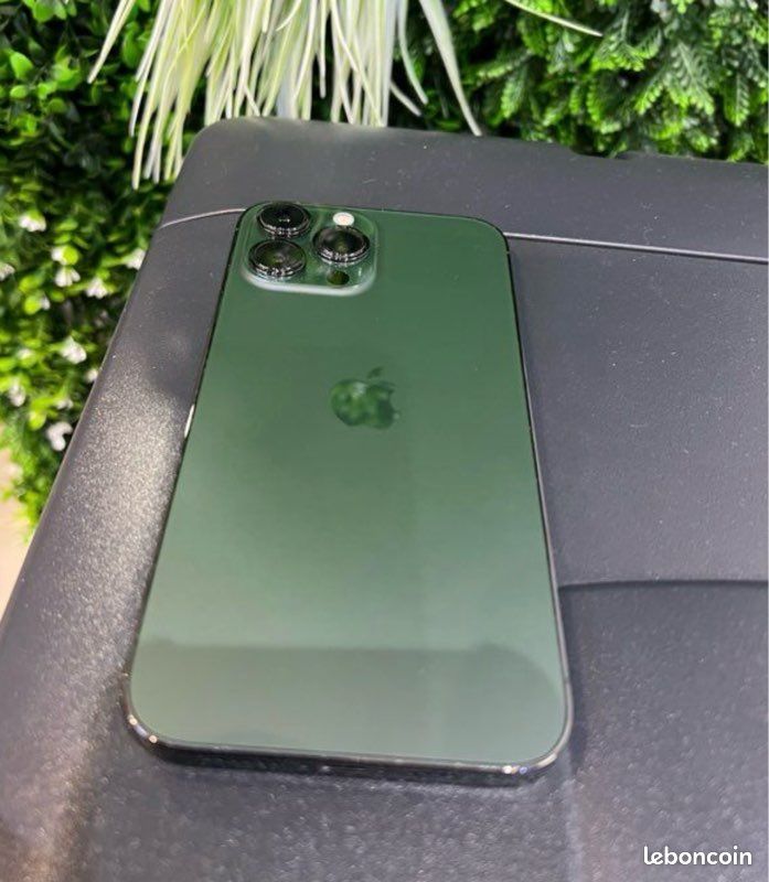 IPhone 13 Pro Max 128 Go - Débloqué Vert - Chargeur Et Protège-écran Inclus