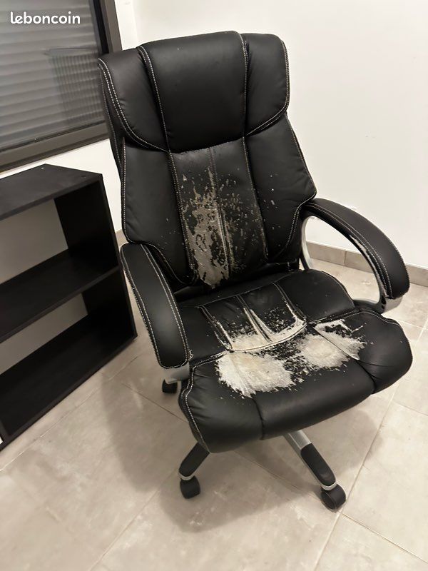 Fauteuil de bureau (image 1)