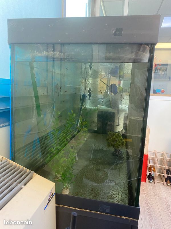 Aquarium (image 3)