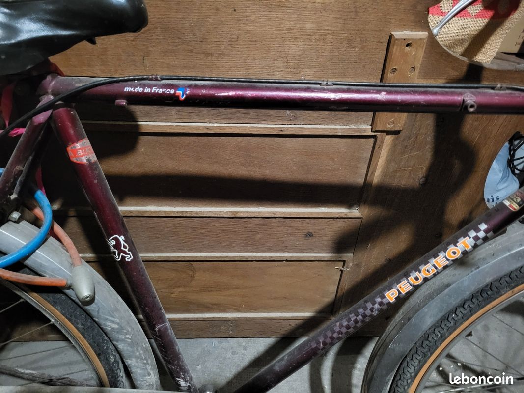 Short Cycliste Vintage Peugeot Bovis Laine - Années 1960 (vélo Ancien)