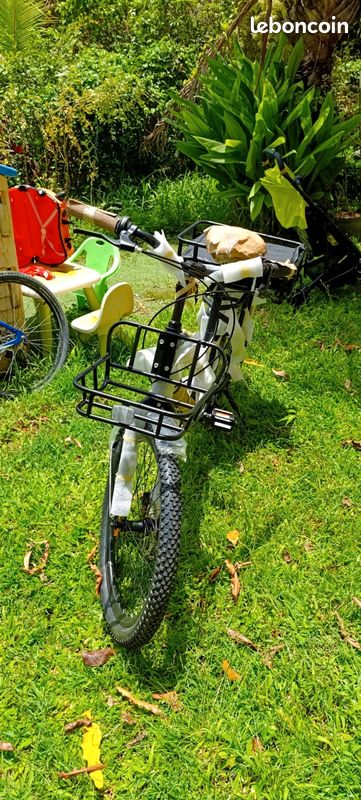 Vélo cargo (image 1)